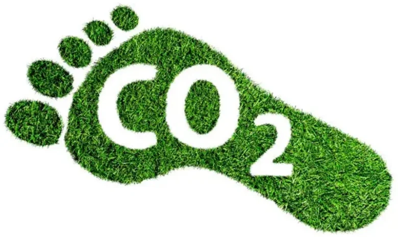 Carbon Footprint of Beef vs Chicken vs Tofu Carbon Footprint of Beef vs Chicken vs Tofu