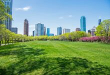 Cities Replacing Concrete With Green Spaces Cities Replacing Concrete With Green Spaces