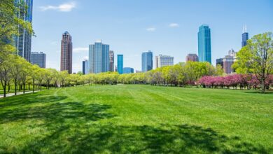 Cities Replacing Concrete With Green Spaces Cities Replacing Concrete With Green Spaces