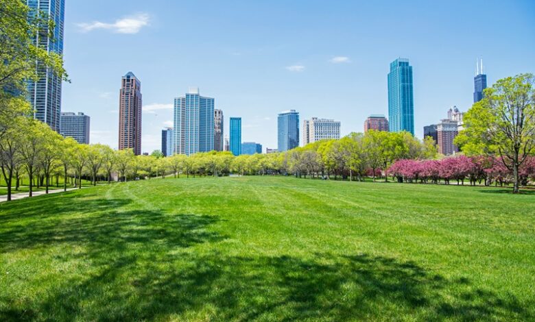 Cities Replacing Concrete With Green Spaces Cities Replacing Concrete With Green Spaces