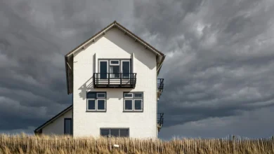Climate Risk House Check Climate Risk House Check