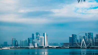 Countries Leading Urban Cooling Projects Countries Leading Urban Cooling Projects