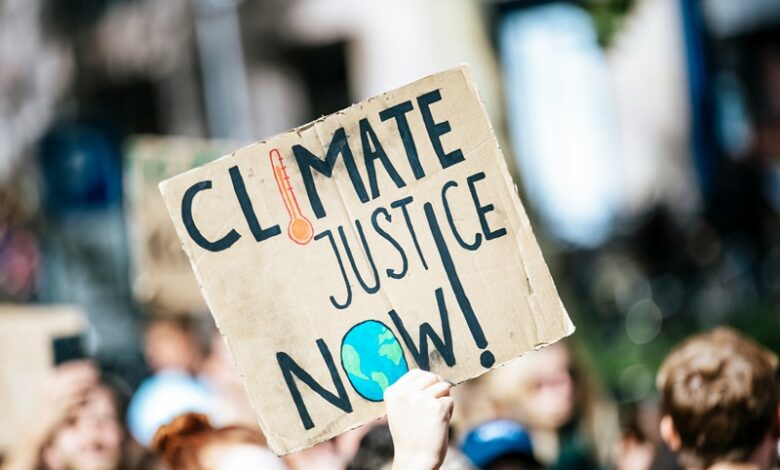 Digital Climate Strikes