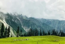 Eco Friendly Tourism in Kashmir Eco-Friendly Tourism in Kashmir