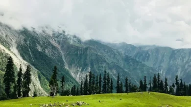 Eco Friendly Tourism in Kashmir Eco-Friendly Tourism in Kashmir
