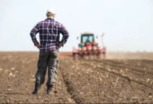 Farmers Switching to Drought Resistant Crops Farmers Switching to Drought-Resistant Crops