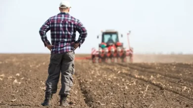 Farmers Switching to Drought Resistant Crops Farmers Switching to Drought-Resistant Crops
