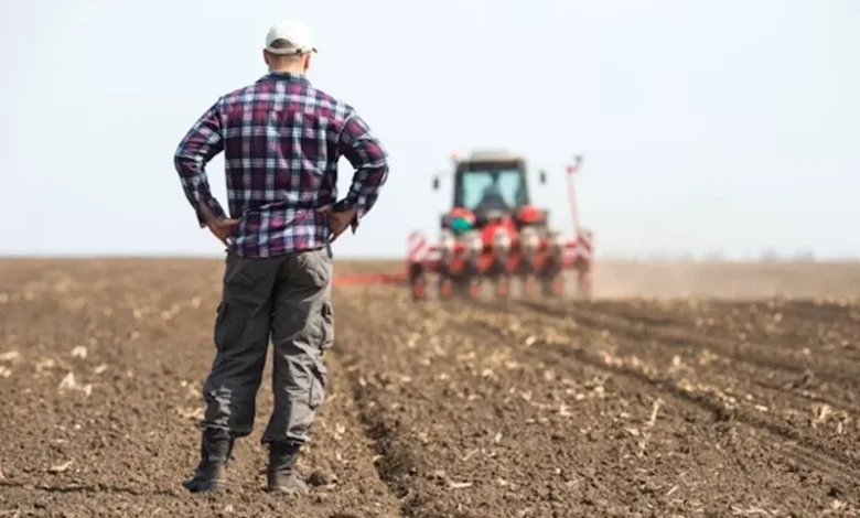 Farmers Switching to Drought Resistant Crops Farmers Switching to Drought-Resistant Crops