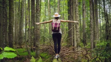 Forest Bathing Forest Bathing