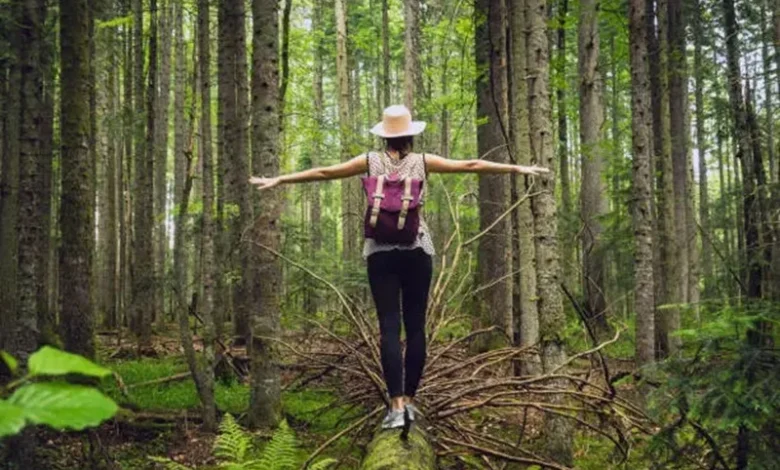 Forest Bathing