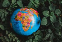 Greenest Countries in the World Greenest Countries in the World