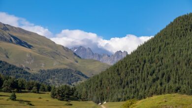 Heatwaves in Mountain Regions Heatwaves in Mountain Regions