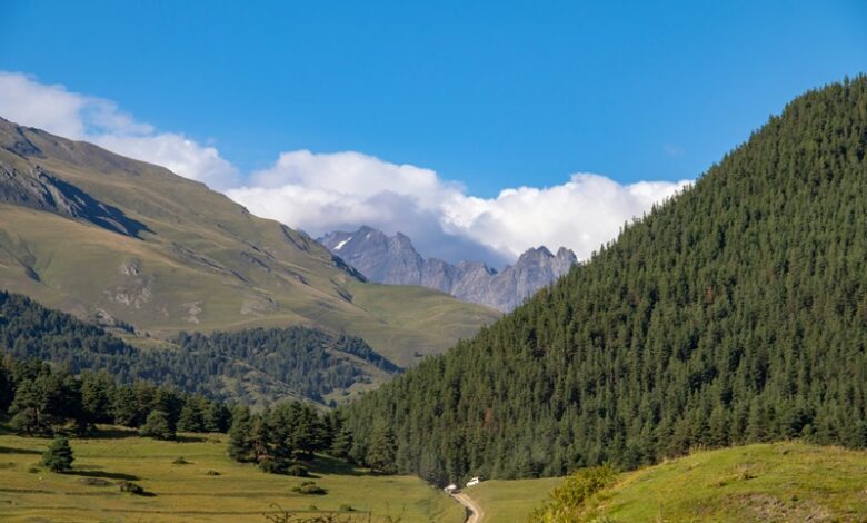 Heatwaves in Mountain Regions