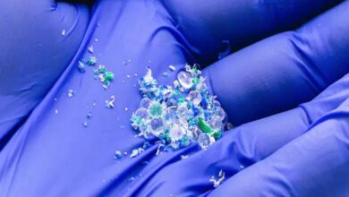 Hidden Microplastic Sources Raise Fresh Environmental Pollution Concerns Hidden Microplastic Sources Raise Fresh Environmental Pollution Concerns