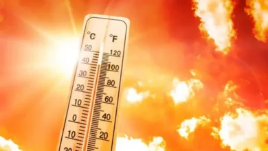 Highest Heatwave Risk Countries Highest Heatwave Risk Countries