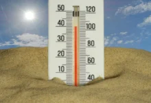 How to Stay Safe During a Heatwave How to Stay Safe During a Heatwave
