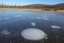 Melting Permafrost Melting Permafrost
