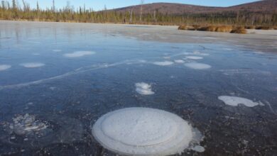 Melting Permafrost Melting Permafrost