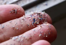 Microplastics Microplastics