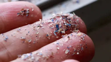 Microplastics Microplastics