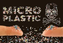 Microplastics in Your Body Microplastics in Your Body