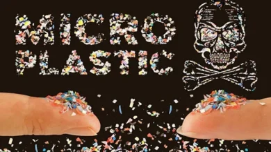 Microplastics in Your Body Microplastics in Your Body