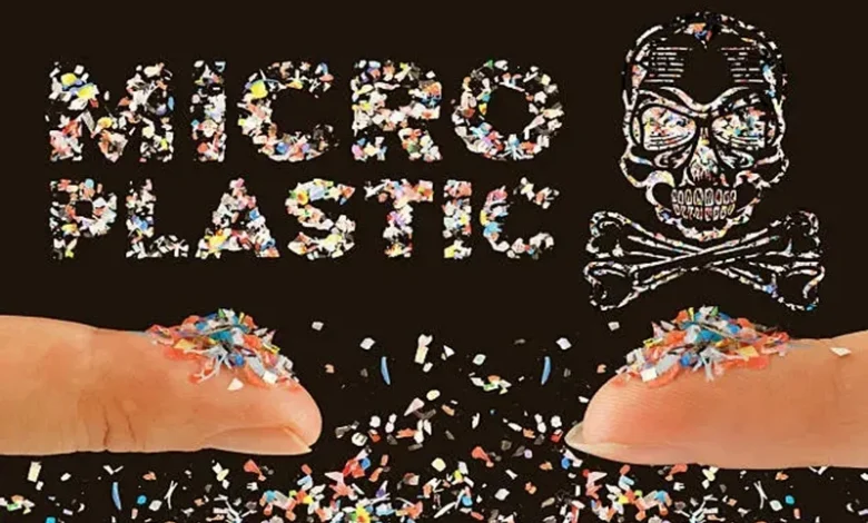 Microplastics in Your Body