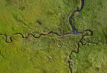 Most Important Wetlands Most Important Wetlands