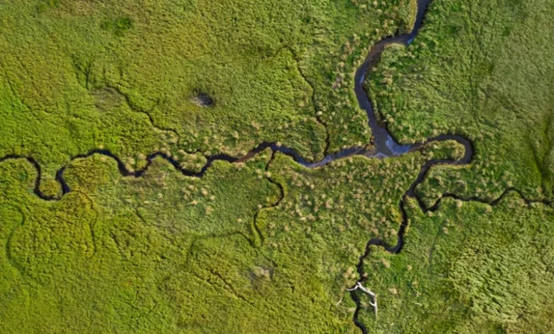 Most Important Wetlands Most Important Wetlands