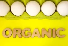 Organic eggs carbon footprint Organic eggs carbon footprint