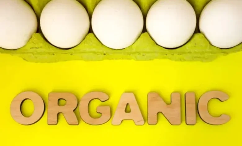 Organic eggs carbon footprint Organic eggs carbon footprint