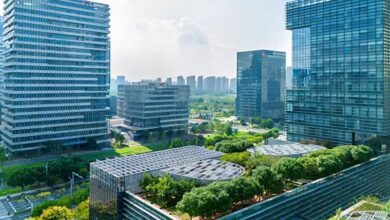 Rooftop Gardens Are Transforming Urban Skylines Rooftop Gardens