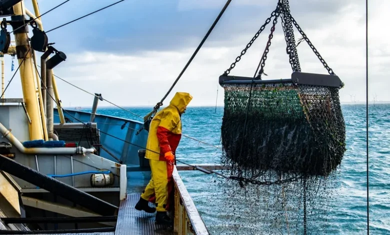 Seafood Pollution Seafood Pollution