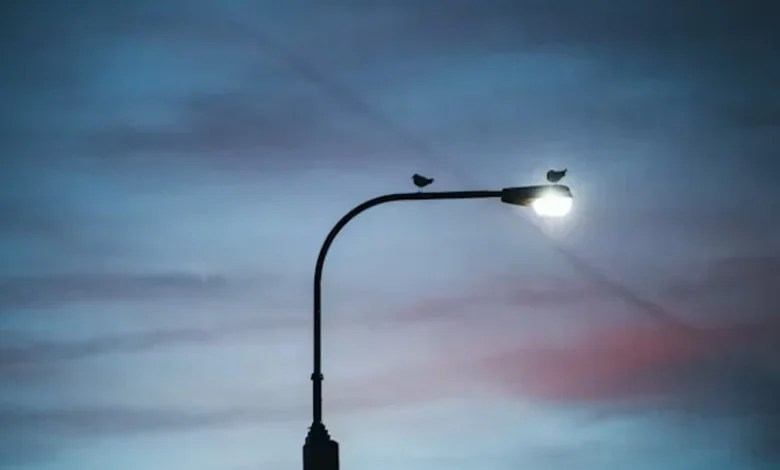 Smart LED Streetlights Smart LED Streetlights
