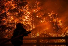 Spain France Wildfires Spain France Wildfires