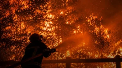 Spain France Wildfires Spain France Wildfires