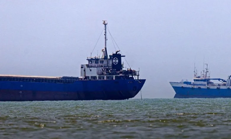 Strait of Hormuz Ships