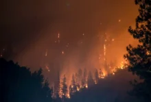 Wildfire Evacuation Plan Wildfire Evacuation Plan