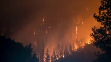 Wildfire Evacuation Plan Wildfire Evacuation Plan