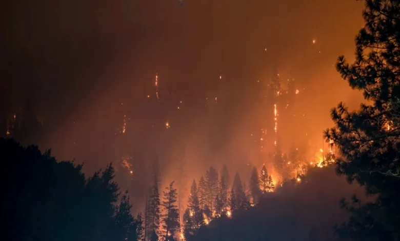 Wildfire Evacuation Plan