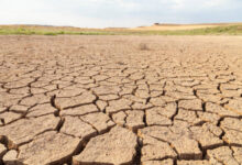 heatwaves affecting drinking wat Heatwaves affecting drinking water reservoirs globally