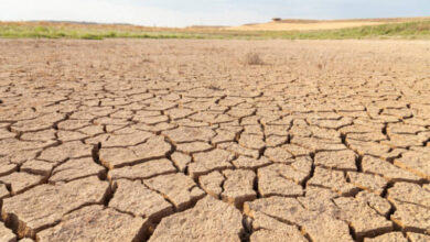 heatwaves affecting drinking wat Heatwaves affecting drinking water reservoirs globally
