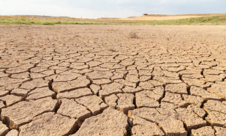 heatwaves affecting drinking wat Heatwaves affecting drinking water reservoirs globally