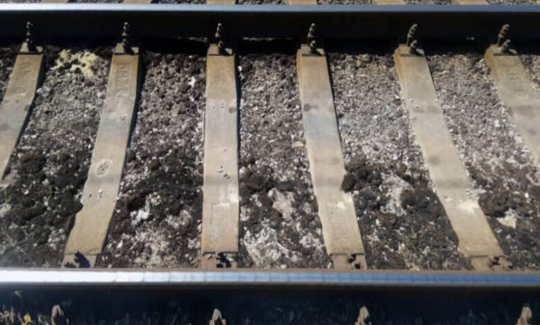 heatwaves affecting public trans Heatwaves affecting public transit systems and infrastructure