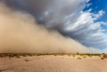 istockphoto 2268486406 612x612 1 How Are Dust Storms Becoming a Global Climate Threat