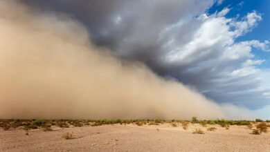 istockphoto 2268486406 612x612 1 How Are Dust Storms Becoming a Global Climate Threat