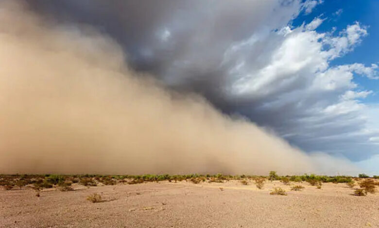 istockphoto 2268486406 612x612 1 How Are Dust Storms Becoming a Global Climate Threat