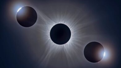 A Rare Double Feature Lights Up the August Night Sky Solar Eclipse and Meteor Shower August 2026