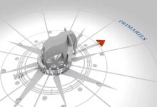 Animals Evolved an Internal Compass to Navigate Earth Animals Evolved an Internal Compass to Navigate Earth