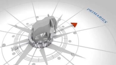 Animals Evolved an Internal Compass to Navigate Earth Animals Evolved an Internal Compass to Navigate Earth